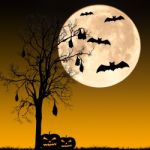 Halloween Night Concept Stock Photo