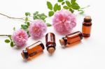 Bottles Of Essential Rose Oil For Aromatherapy, Huntington Rose Stock Photo