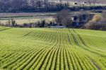 Near Seaford, Sussex/uk - April 5 : View Of  Farmland Near Seafo Stock Photo