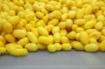 Yellow Cocoons Stock Photo