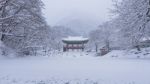 Baekyangsa Temple And Falling Snow, Naejangsan Mountain In Winter With Snow,famous Mountain In Korea.winter Landscape Stock Photo