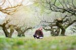 Portrait Of A Beautiful Asian Women With Nature Background Stock Photo