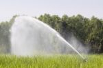 Sprinkler Watering The Grass Stock Photo