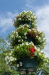 East Grinstead In Bloom Stock Photo