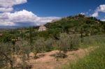 Montepulciano, Tuscany/italy - May 17 : View Of San Biagio Churc Stock Photo