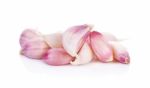 Garlic Isolated On White Background Stock Photo