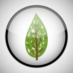 Tree In Circle Frame. Icon Concept Stock Photo