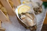 Japanese Style Oyster And Sea Urchin Stock Photo