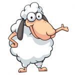 White Sheep Standing Stock Photo