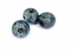 Blueberries Isolated Stock Photo