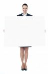 Executive With An Advertising Board Stock Photo