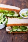 Fresh Vegetarian Sandwich With Garlic Cheese Dip Salad Stock Photo