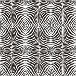 Abstract Black And White Pattern Zebras Stock Photo