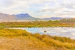 Landscape Near Dorp Op Die Berg In South Africa Stock Photo