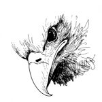 Eagle Bird Doodle Hand Drawn Stock Photo