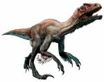 Utahraptor Stock Photo