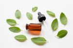 Holy Basil Essential Oil With  Fresh Leaves Stock Photo