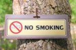 No Smoking In Park  Stock Photo