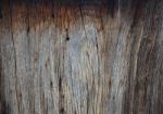 Wood Texture Stock Photo