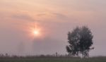 Summer Foggy Morning Stock Photo