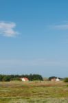 Sunny Coastal Landscape Stock Photo