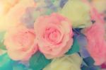 Flowers Arrangements - Spring Roses Celebration Bouquet Pastel Stock Photo