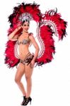 Beautiful Carnival Dancer, Amazing Costume Stock Photo