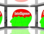 Intelligence On Brain On Screen Showing Human Knowledge Stock Photo