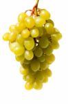 Green Grapes Stock Photo