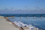 Chicago's Frozen Lake Michigan In January Stock Photo