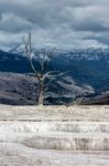 Mammoth Hot Springs Stock Photo