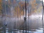 Fall Lake Trees Stock Photo