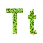 English Alphabet Made From Green Grass On White Background Stock Photo