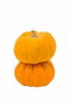 Pumpkins On White Background Stock Photo