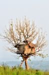 Tree House Stock Photo