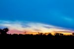 Sunrise Landscape In Zambia Stock Photo