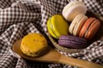 Macaron Or Gerber Stock Photo