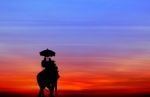 Silhouette Elephant With Tourist At Sunset Stock Photo