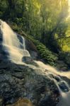 Kondalilla Falls In Kondalilla Falls National Park Stock Photo