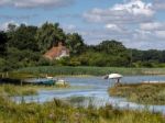 Woman Swimming In The River Alde Stock Photo