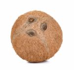 Coconut Isolated On The White Background Stock Photo