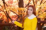 Young Woman With Autumn Leaves In Maple Garden Stock Photo