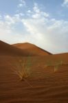 Sahara Desert Stock Photo