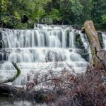 Liffey Falls In The Midlands Region, Tasmania Stock Photo