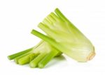 Fresh Fennel Isolated On The White Background Stock Photo