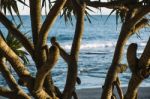 Kings Beach In The Sunshine Coast, Queensland Stock Photo