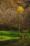 Landscape With Lake Stock Photo