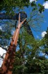 Treetop Walkway At Kew Gardens Stock Photo