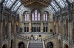 People On A Staircase In The National History Museum In London Stock Photo