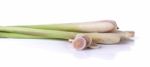 Lemongrass Isoleted On White Background Stock Photo